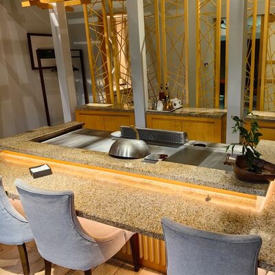 Коммерческий стол для гриля теппаньяки с пищевой нержавеющей сталью и электрическим/газовым нагревом размером 1200*850*800 мм